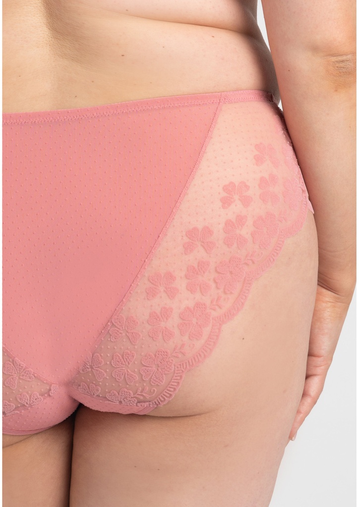 Rose B400 panty