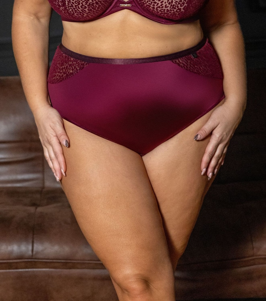 Scarlet Panty HighWaist